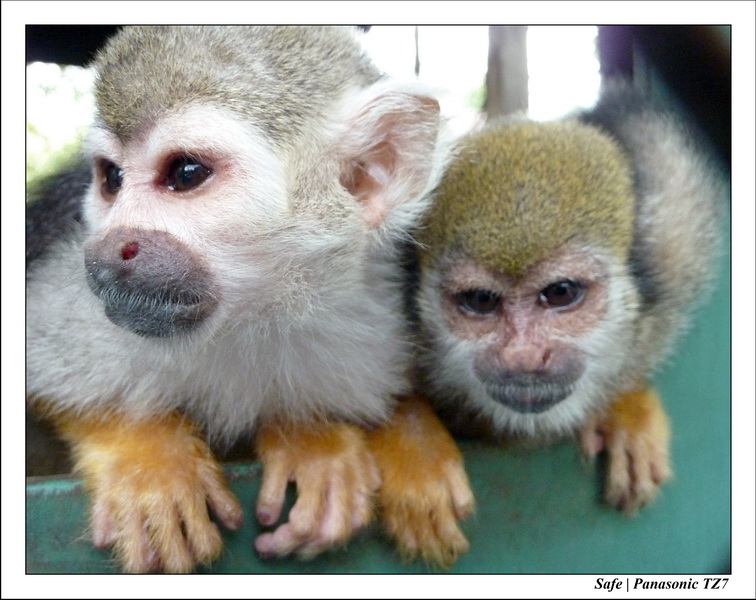 2009   08   Kho samui 50